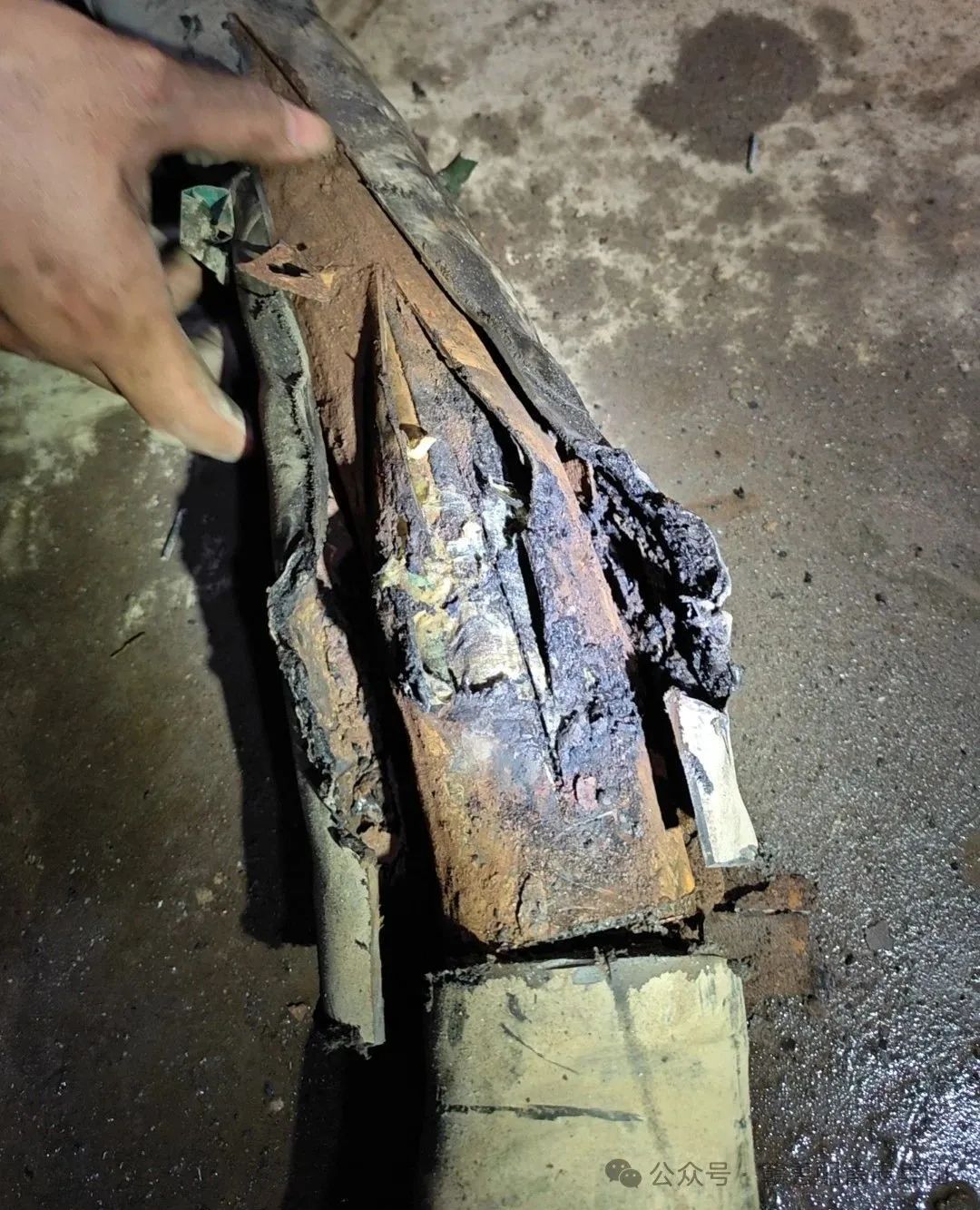 1722499482.jpg 2.jpg