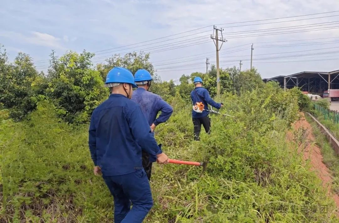 1726641629.jpg 1.jpg