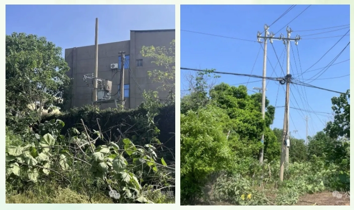 1726641825.png 5.png