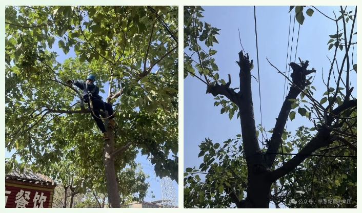 1726641935.png 8.png