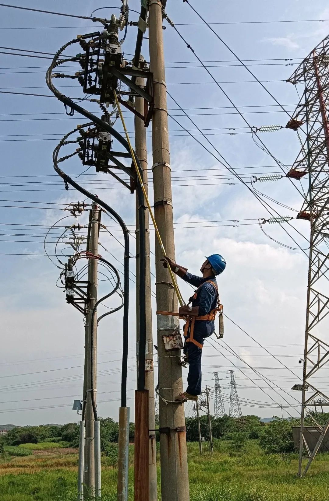 1726641978.jpg 9.jpg