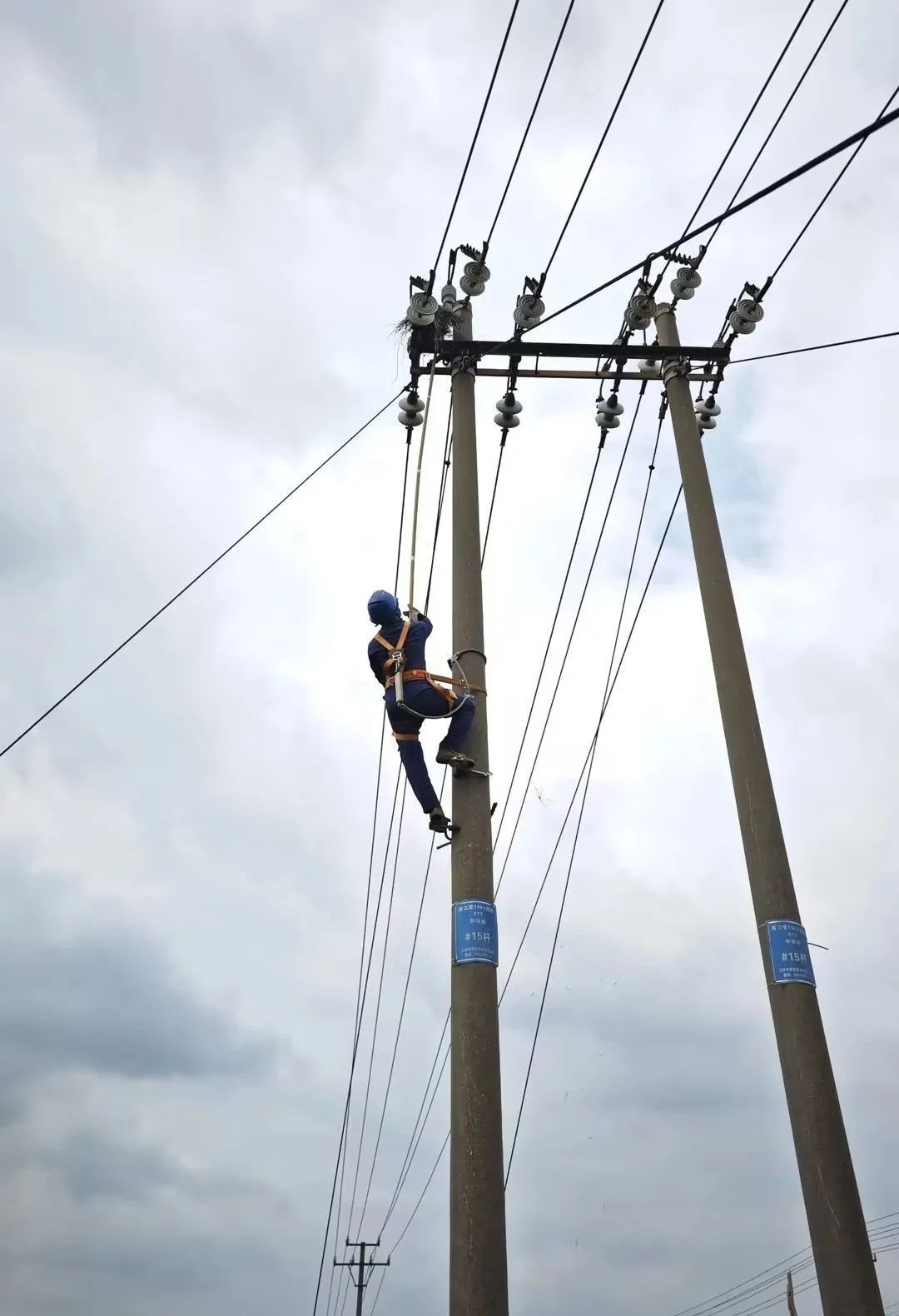 1726641992.jpg 10.jpg