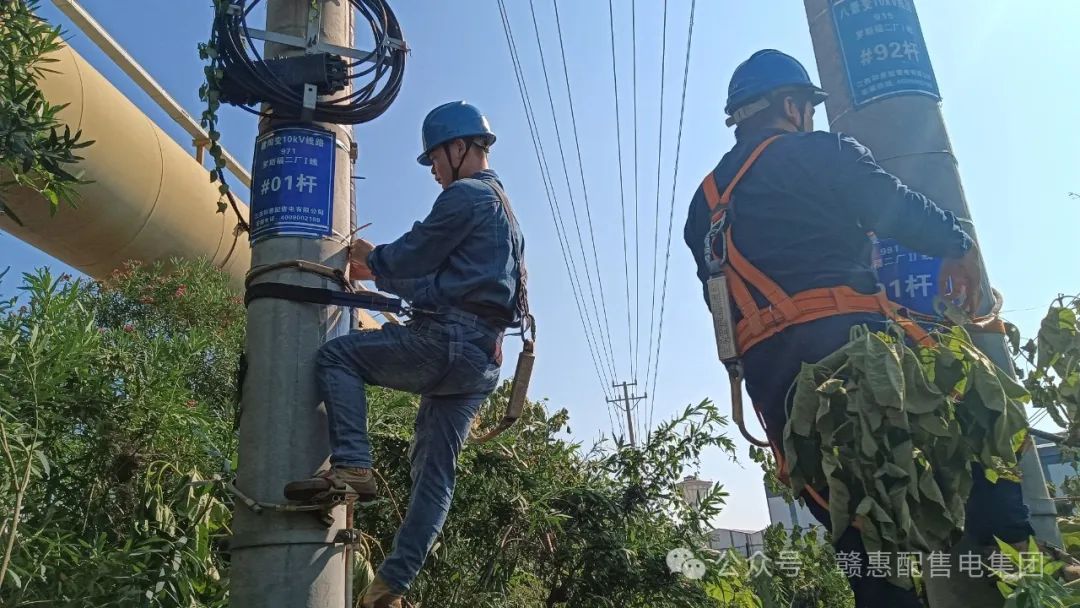 1726642036.jpg 11.jpg